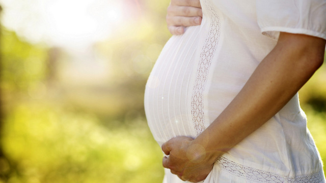 Pregnancy: A Window of Opportunity for Musculoskeletal Repair