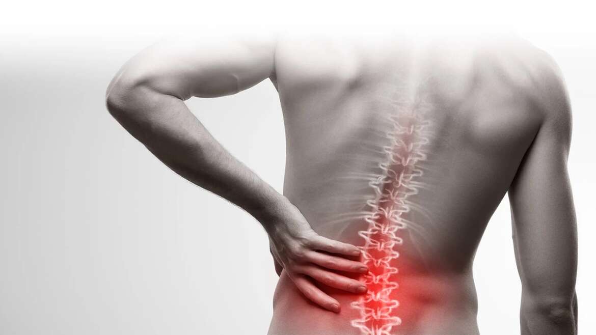 What are the different types of Back Pain?